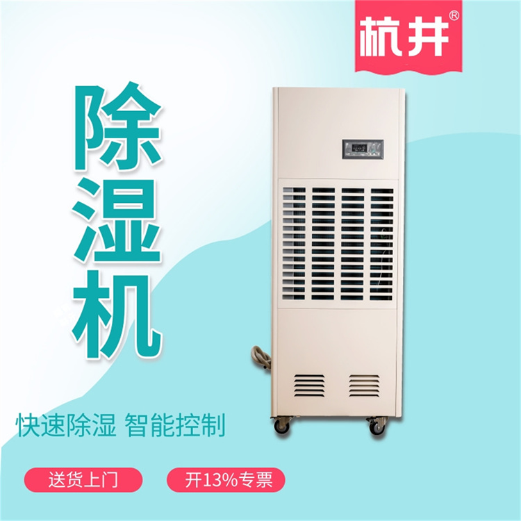 夏季养生需去除湿气，家用除湿机是必备之物