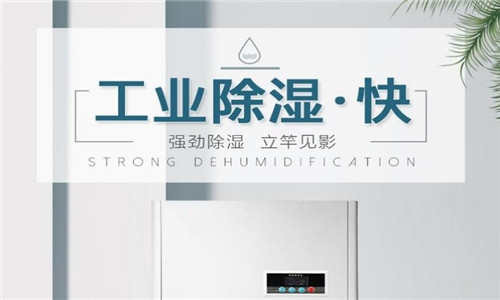面粉厂购买强劲除湿机的重要性